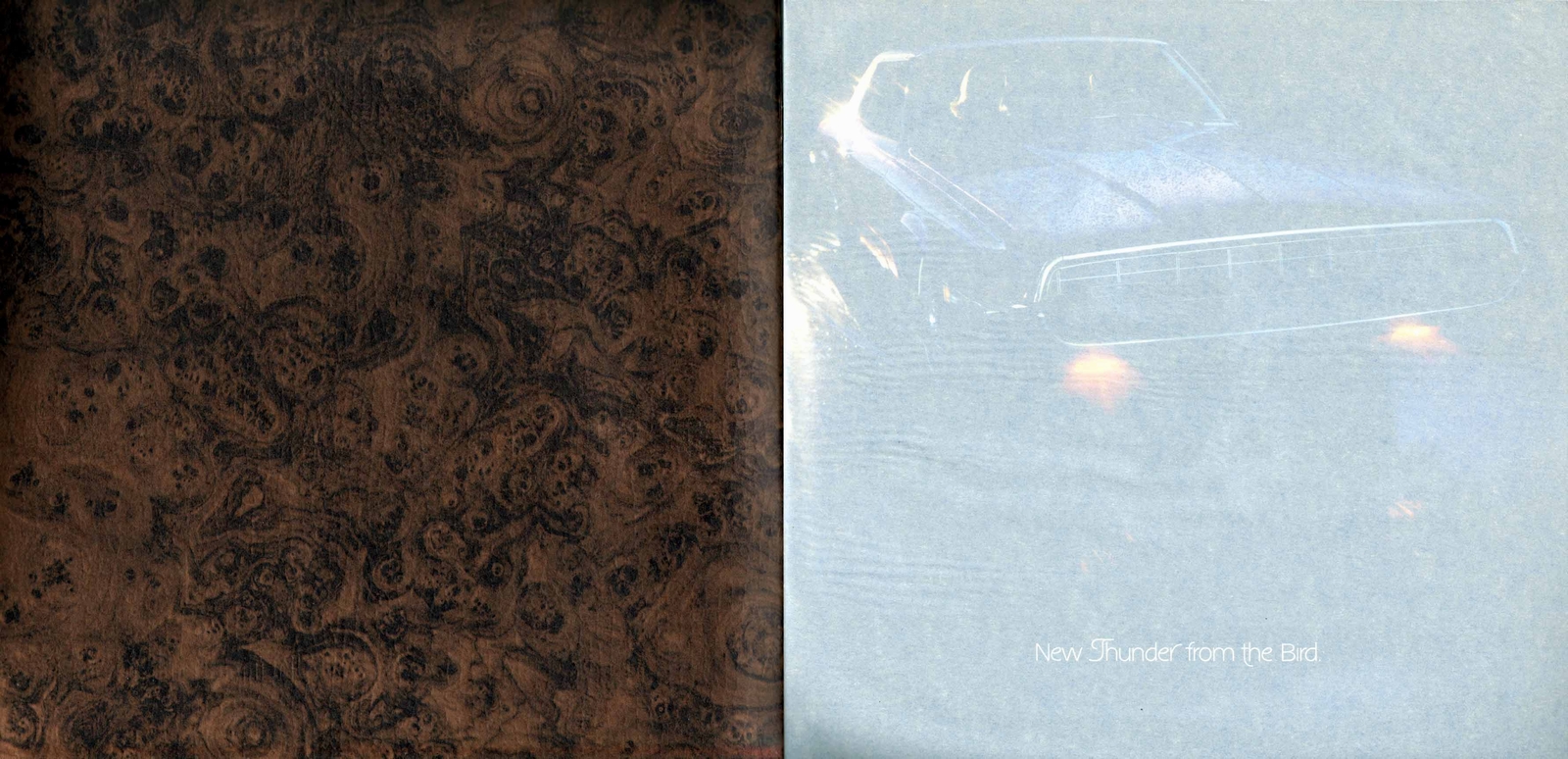 n_1968 Ford Thunderbird-02-03.jpg